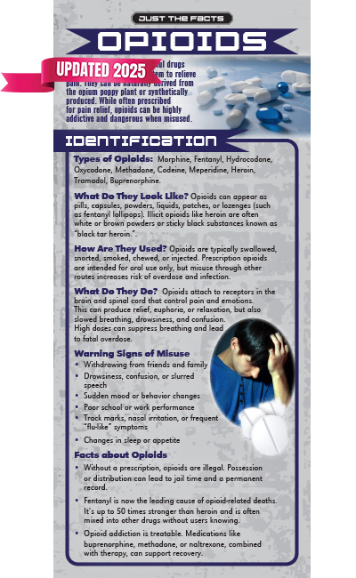 Just the Facts Rack Card: Opioids