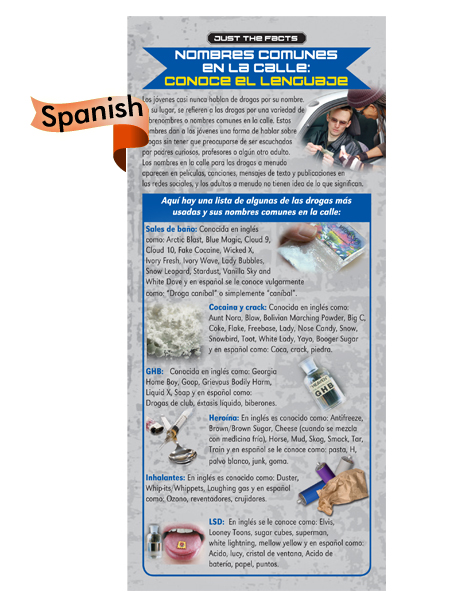 *SPANISH* Just the Facts Rack Card: Drug Dictionary