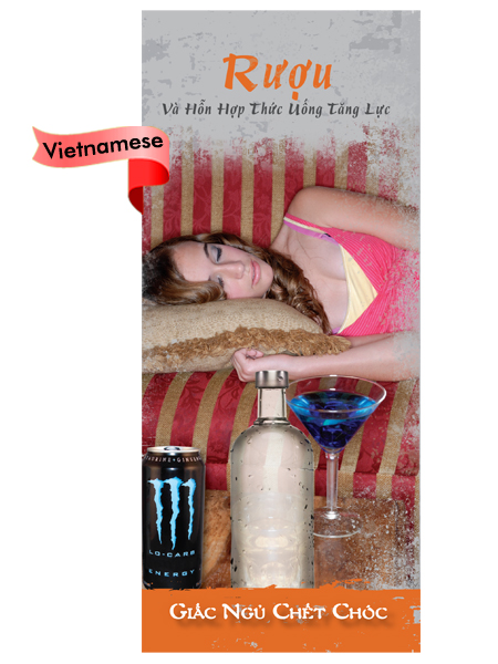 *VIETNAMESE* Alcohol & Energy Drink Mixtures: Dead Asleep Pamphlet