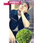 PAM-SSDA-62 Kratom COVER UPDATED 2025 WEB