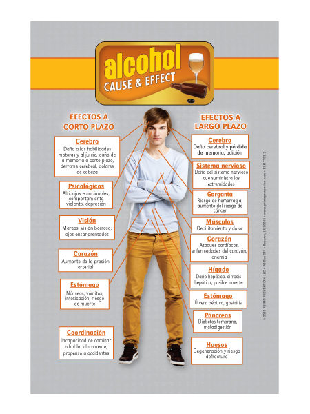 *SPANISH* Table Top Retractable Banner C&E Alcohol