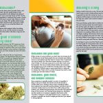 PAM-CE-06 Pregnancy & Marijuana-BACK