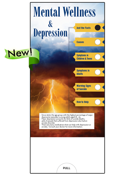 SG-MH-01-Mental-Wellness-&-Depression-Slide-guide-newflag