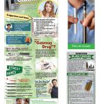 BAN-SSDA-39-PKG-2-E-Cigs