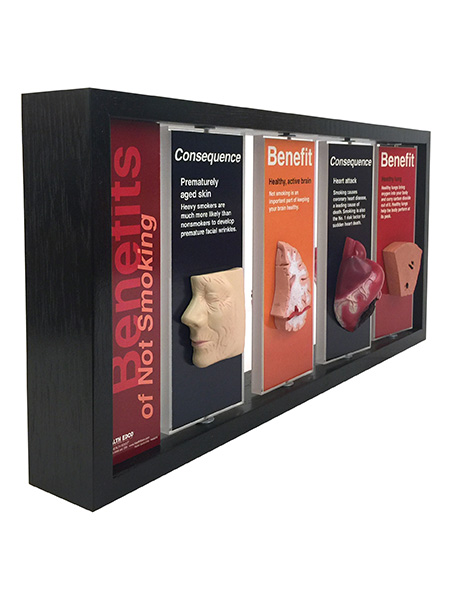 Benefits of Not Smoking 3-D Display